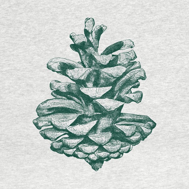 Conifer cone by ArtsyAgent